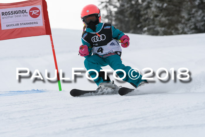 Starnberger Skikreismeisterschaft 2018