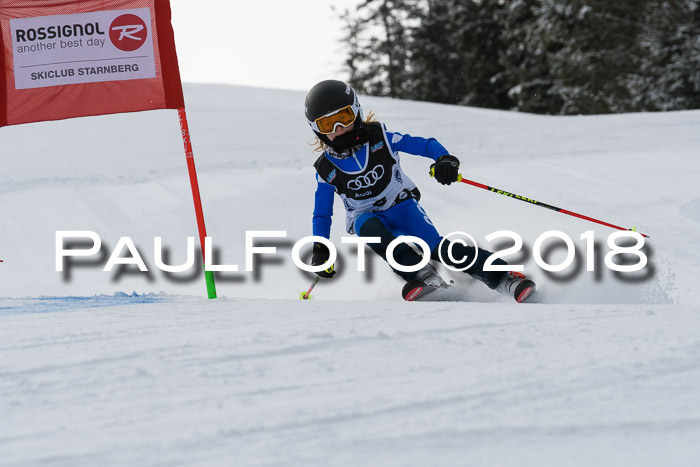 Starnberger Skikreismeisterschaft 2018