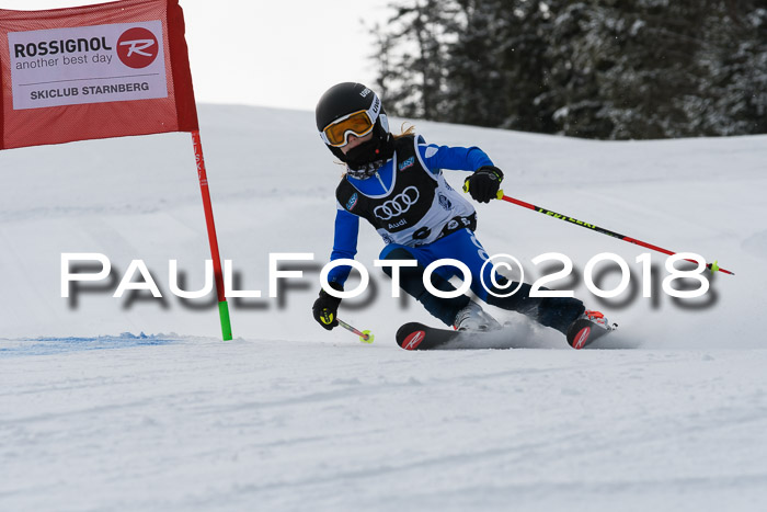 Starnberger Skikreismeisterschaft 2018