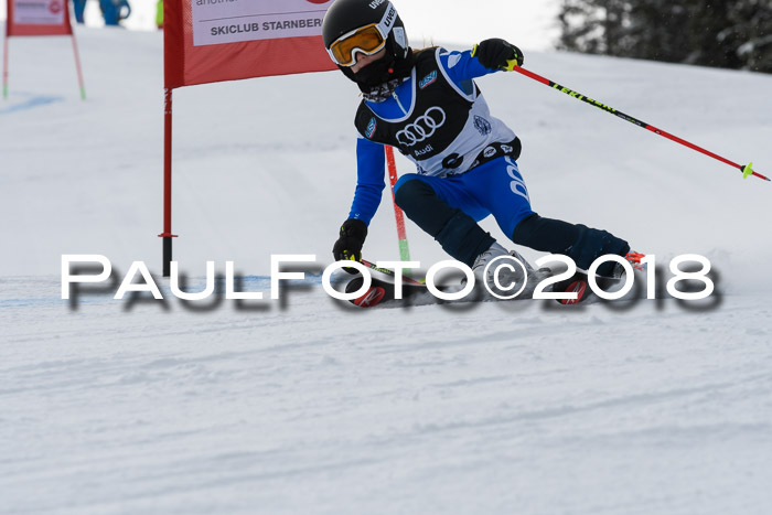 Starnberger Skikreismeisterschaft 2018