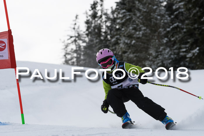 Starnberger Skikreismeisterschaft 2018