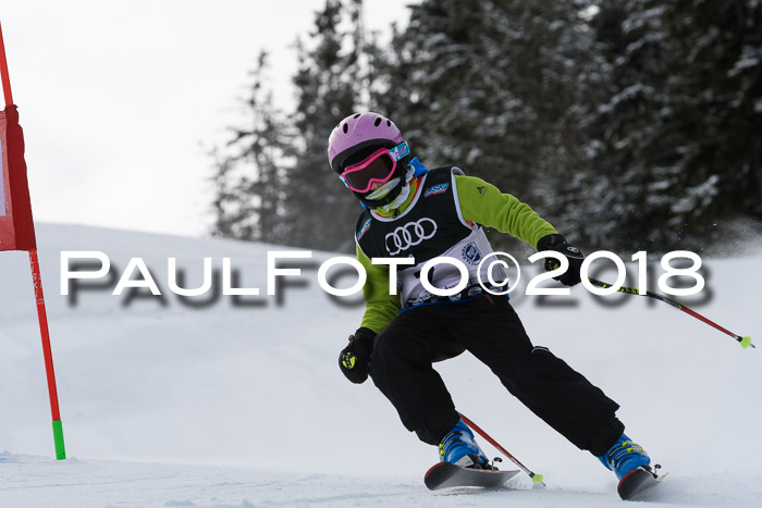 Starnberger Skikreismeisterschaft 2018