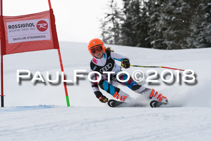 Starnberger Skikreismeisterschaft 2018