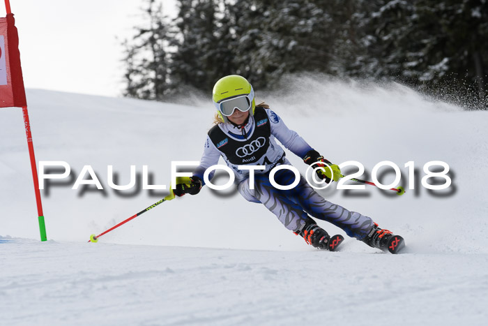 Starnberger Skikreismeisterschaft 2018