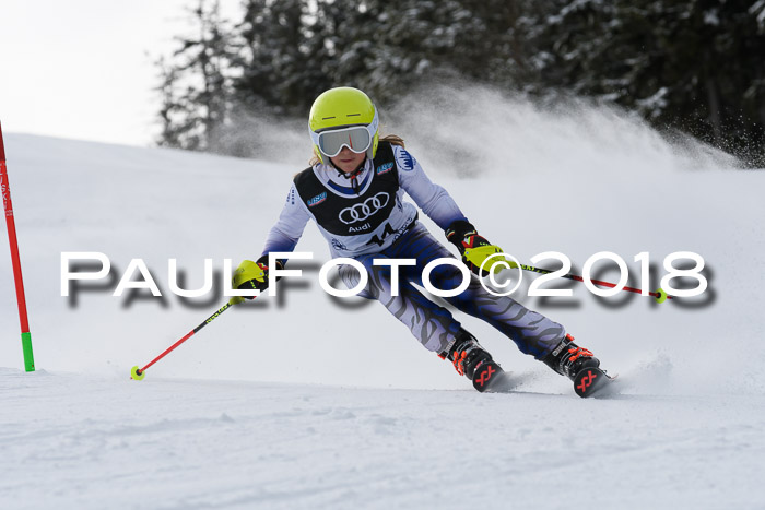 Starnberger Skikreismeisterschaft 2018