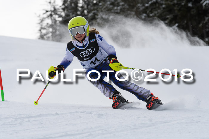 Starnberger Skikreismeisterschaft 2018