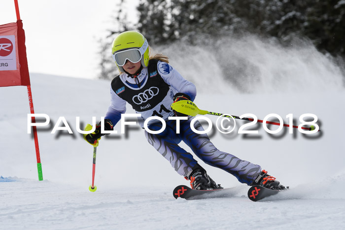 Starnberger Skikreismeisterschaft 2018