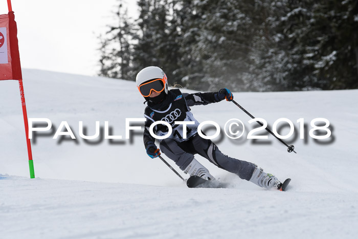 Starnberger Skikreismeisterschaft 2018