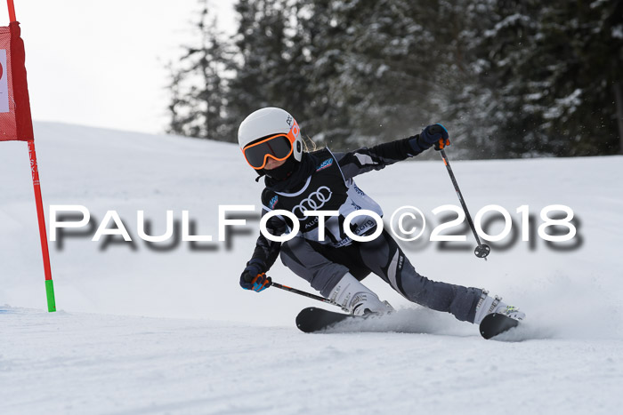 Starnberger Skikreismeisterschaft 2018