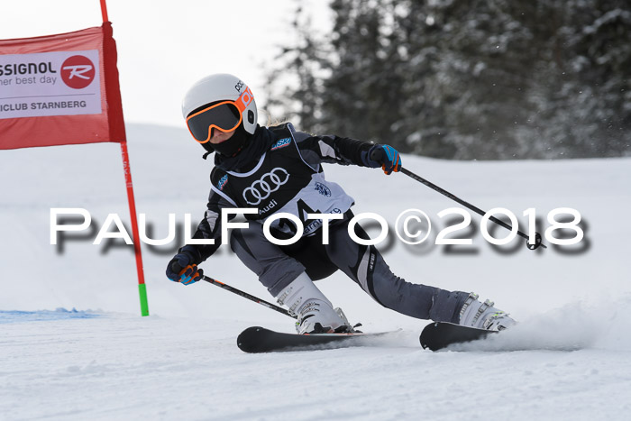 Starnberger Skikreismeisterschaft 2018