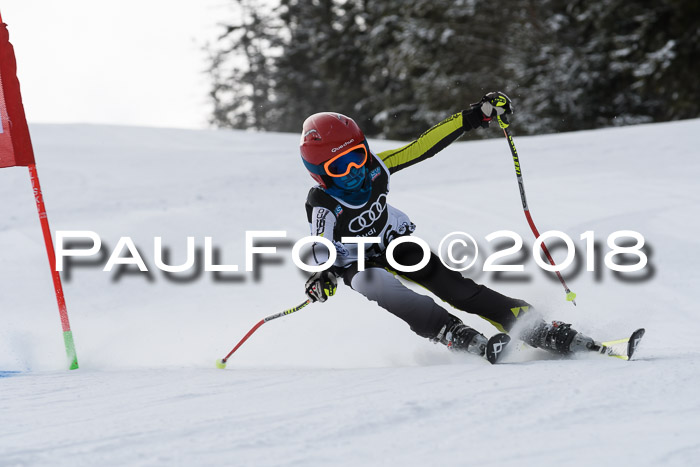 Starnberger Skikreismeisterschaft 2018