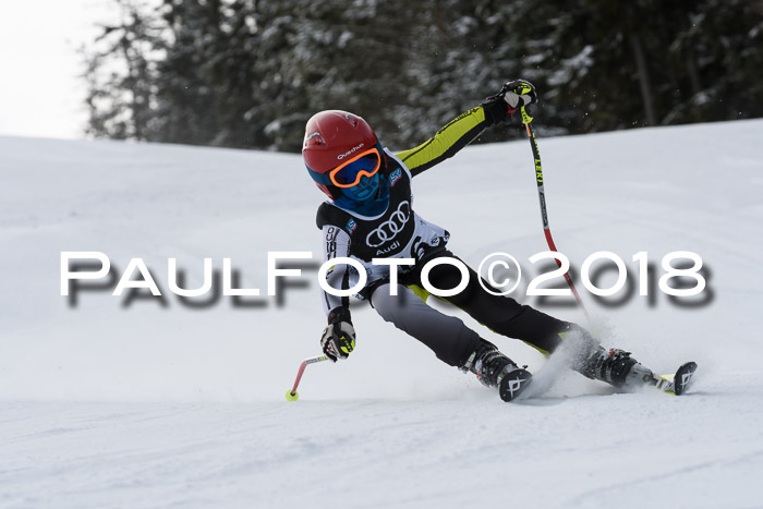 Starnberger Skikreismeisterschaft 2018