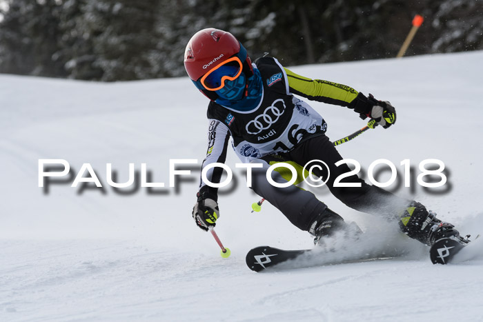 Starnberger Skikreismeisterschaft 2018