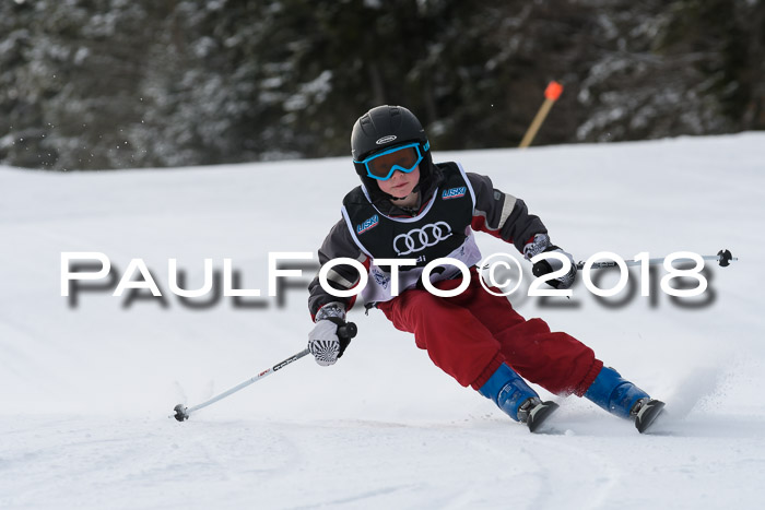 Starnberger Skikreismeisterschaft 2018
