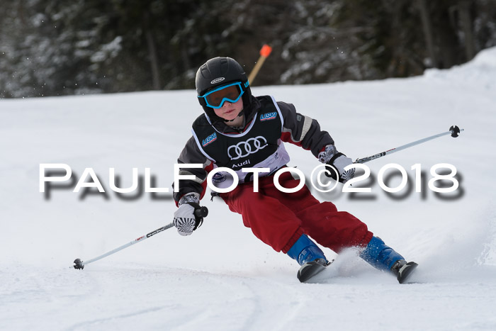 Starnberger Skikreismeisterschaft 2018