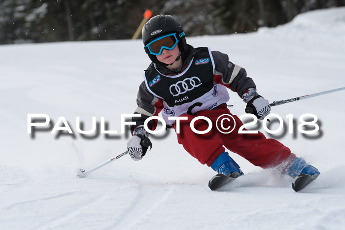 Starnberger Skikreismeisterschaft 2018