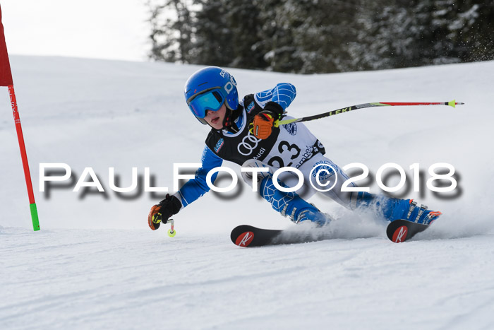 Starnberger Skikreismeisterschaft 2018