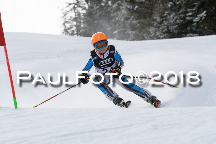Starnberger Skikreismeisterschaft 2018