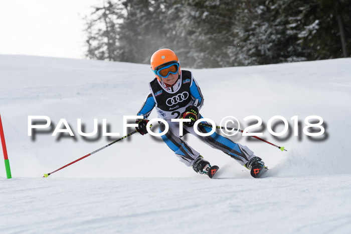 Starnberger Skikreismeisterschaft 2018