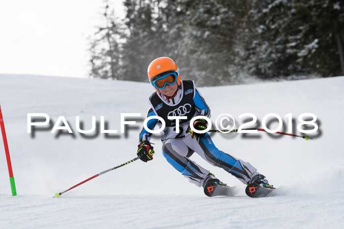 Starnberger Skikreismeisterschaft 2018