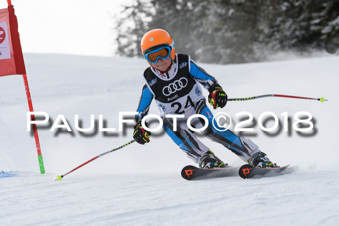 Starnberger Skikreismeisterschaft 2018