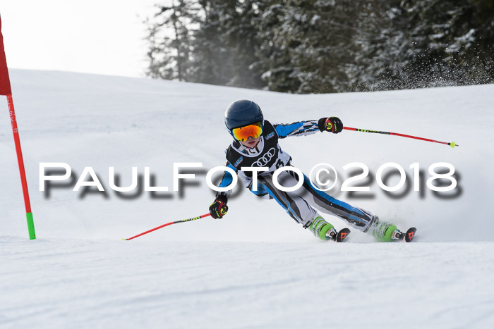 Starnberger Skikreismeisterschaft 2018