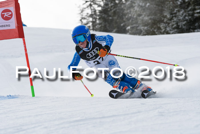 Starnberger Skikreismeisterschaft 2018