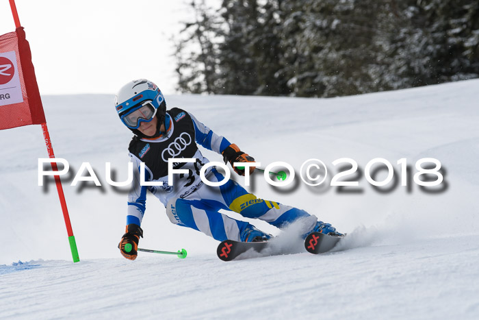 Starnberger Skikreismeisterschaft 2018