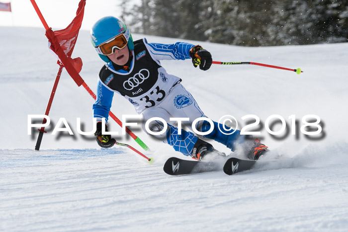 Starnberger Skikreismeisterschaft 2018