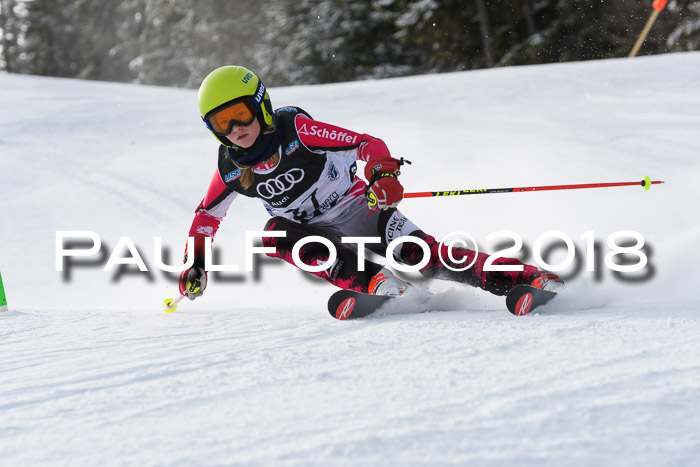 Starnberger Skikreismeisterschaft 2018