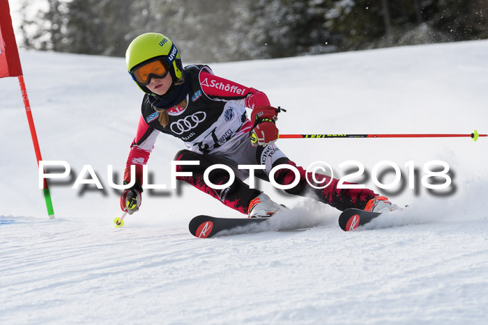 Starnberger Skikreismeisterschaft 2018