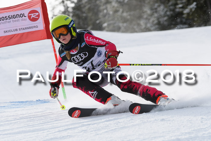 Starnberger Skikreismeisterschaft 2018