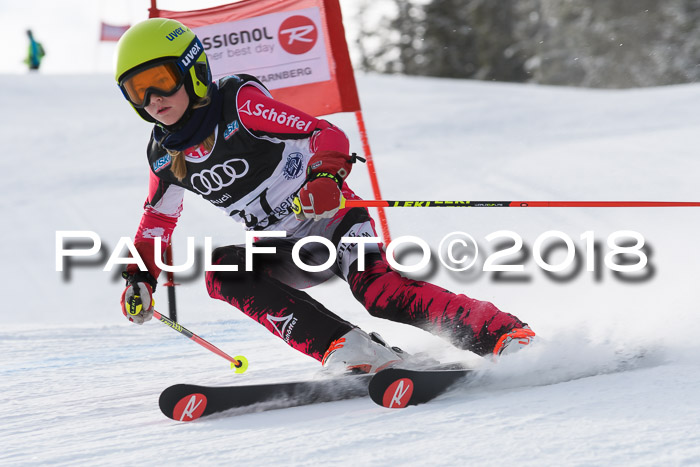 Starnberger Skikreismeisterschaft 2018