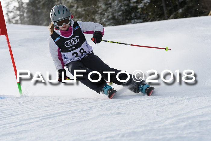 Starnberger Skikreismeisterschaft 2018