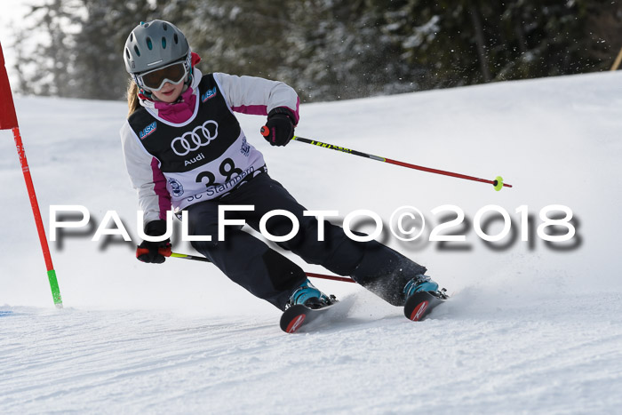 Starnberger Skikreismeisterschaft 2018