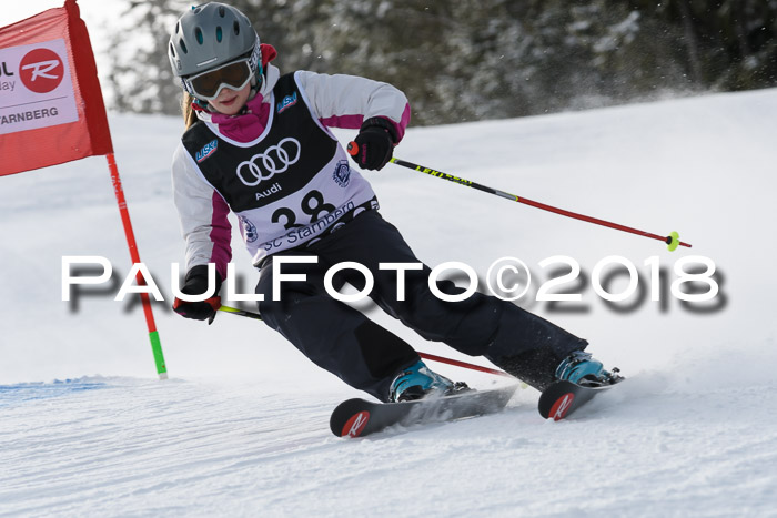 Starnberger Skikreismeisterschaft 2018