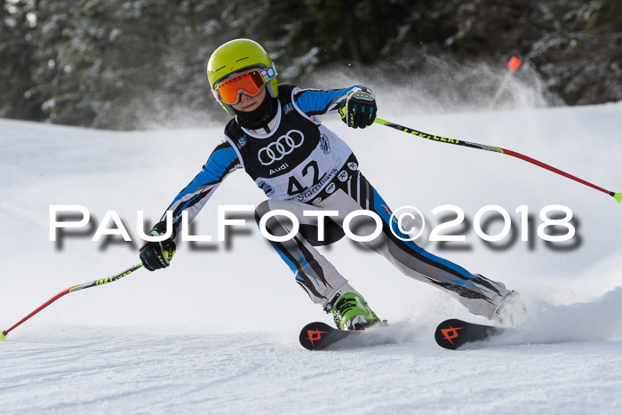 Starnberger Skikreismeisterschaft 2018