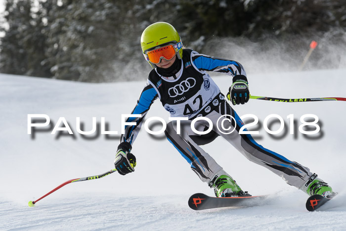 Starnberger Skikreismeisterschaft 2018