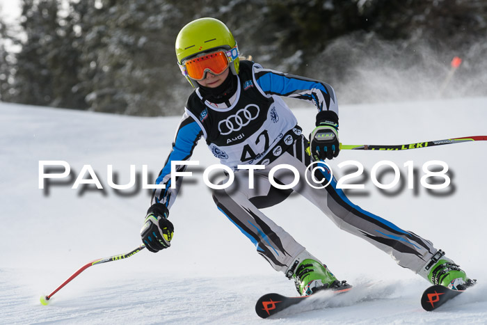 Starnberger Skikreismeisterschaft 2018