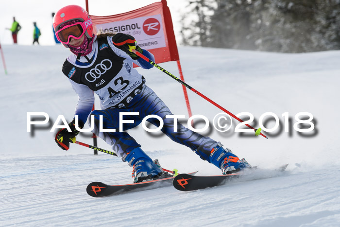 Starnberger Skikreismeisterschaft 2018