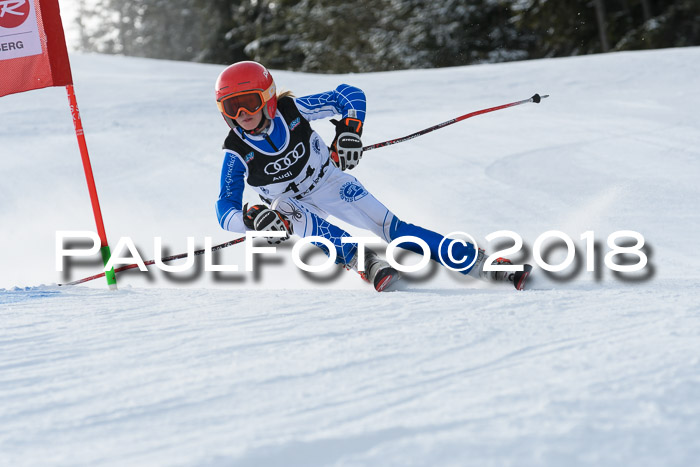 Starnberger Skikreismeisterschaft 2018