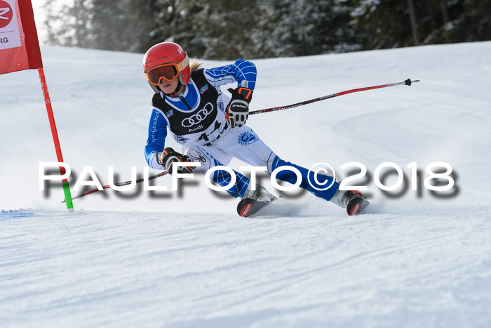 Starnberger Skikreismeisterschaft 2018