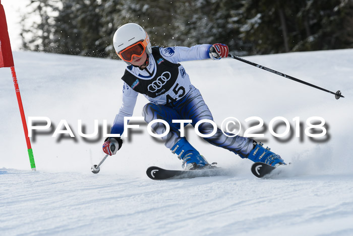 Starnberger Skikreismeisterschaft 2018