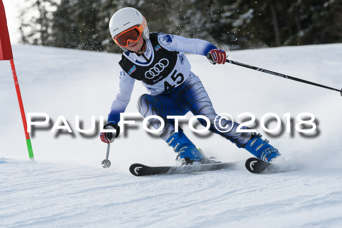 Starnberger Skikreismeisterschaft 2018