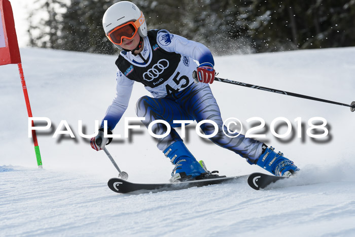 Starnberger Skikreismeisterschaft 2018