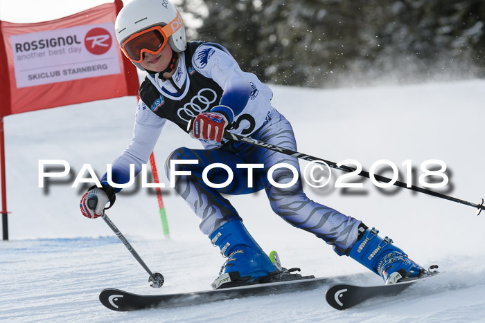 Starnberger Skikreismeisterschaft 2018