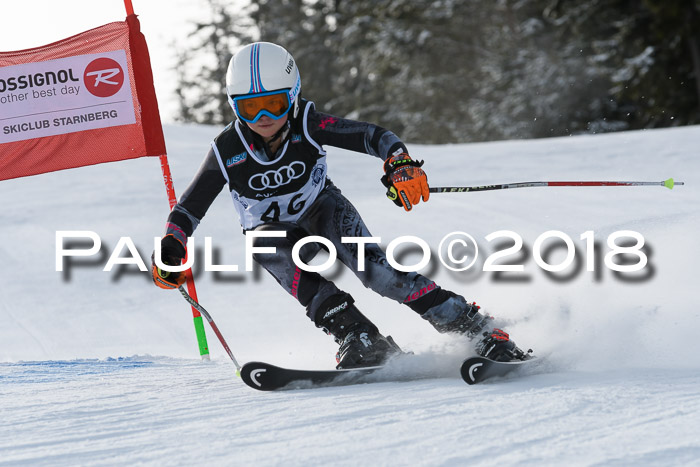 Starnberger Skikreismeisterschaft 2018