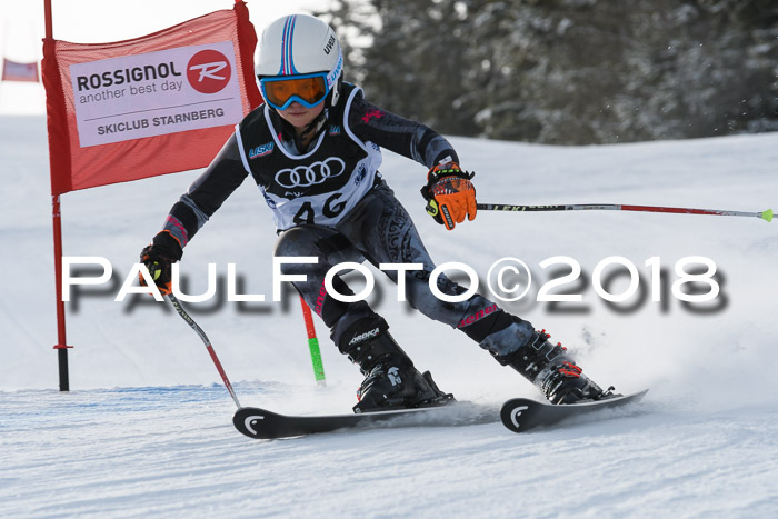 Starnberger Skikreismeisterschaft 2018
