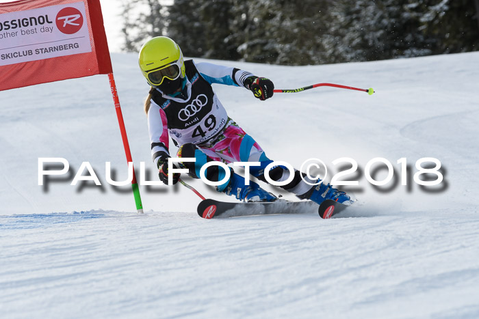 Starnberger Skikreismeisterschaft 2018