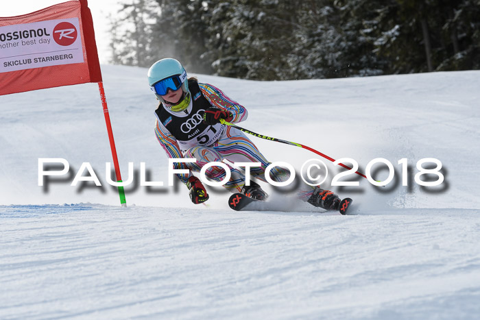 Starnberger Skikreismeisterschaft 2018
